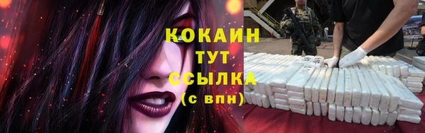 PSILOCYBIN Медвежьегорск