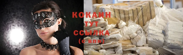 PSILOCYBIN Медвежьегорск