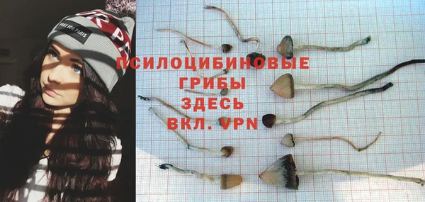 a pvp Михайлов