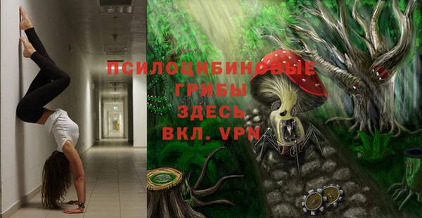 PSILOCYBIN Медвежьегорск