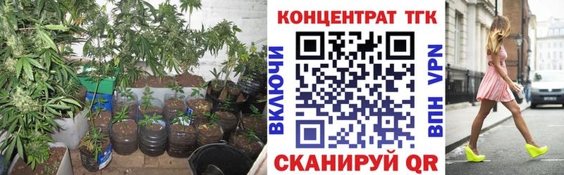 OMG ONION  Ижевск  Дистиллят ТГК THC oil  даркнет сайт 