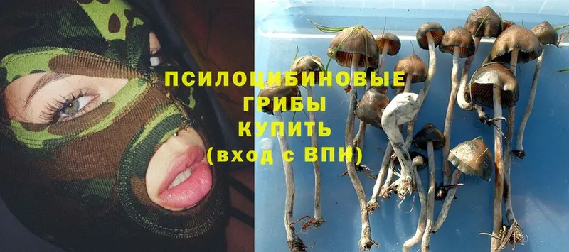 Псилоцибиновые грибы мухоморы  OMG как войти  Ижевск 