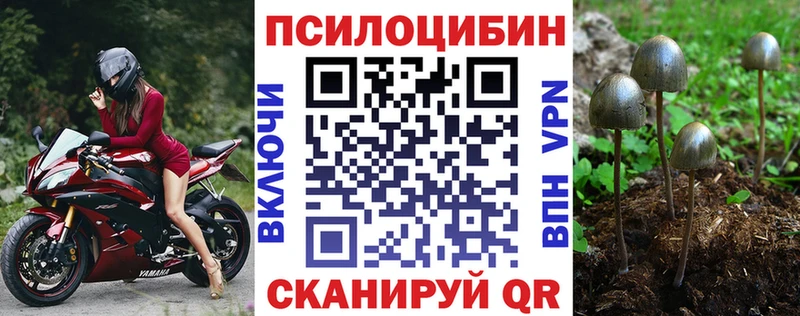 Псилоцибиновые грибы Magic Shrooms МЕГА как войти Ижевск
