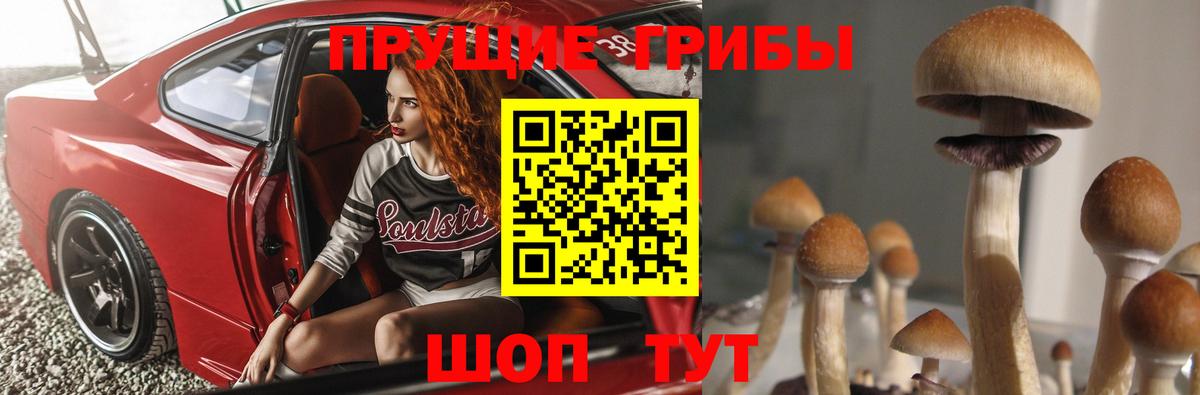 Галлюциногенные грибы прущие грибы  Галлюциногенные грибы Magic Shrooms  Вход с VPN  Ижевск 