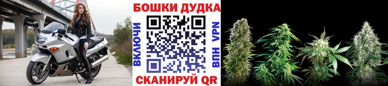 где найти наркотики  Ижевск  МАРИХУАНА Amnesia 